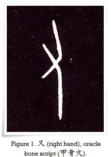 Figure 1. 又 (right hand),  (甲骨文).
